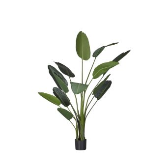 Kunstplant Strelitzia Groen - 190 cm hoog