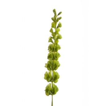 Kunstbloem Mollucella Groen - 65 cm