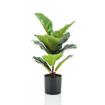 Kunstplant Ficus Groen - 55 cm hoog