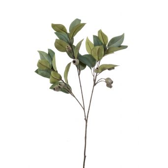 Kunsttak Eucalyptus Groen - 80 cm hoog