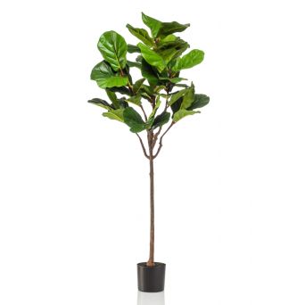 Kunstplant Ficus Groen - 155 cm hoog