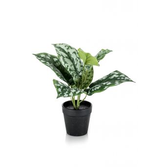 Kunstplant Scindapsus Groen - 24 cm hoog