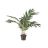 WOOOD Kunstplant Kwai Groen - 68 cm hoog